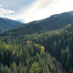 Casago Expands Idaho Presence with New Locally Led Franchise in McCall and Boise - Photo by Kevin Bidwell on Pexels