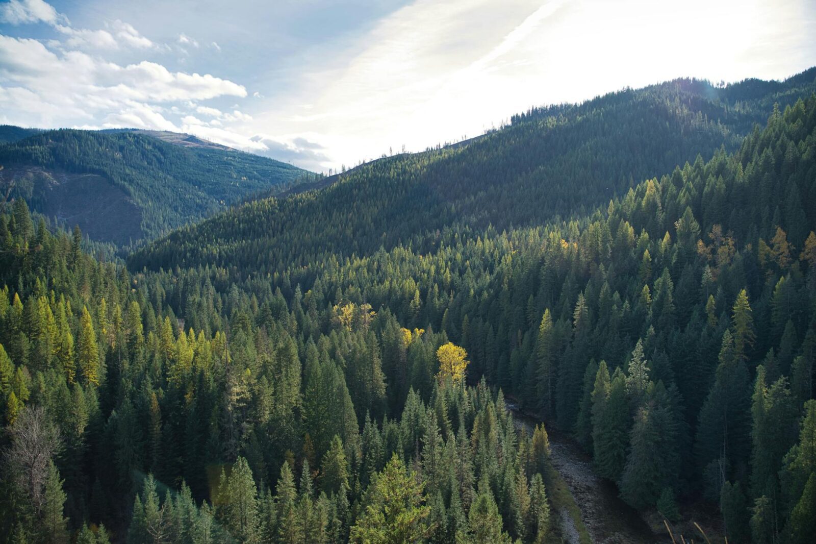 Casago Expands Idaho Presence with New Locally Led Franchise in McCall and Boise - Photo by Kevin Bidwell on Pexels