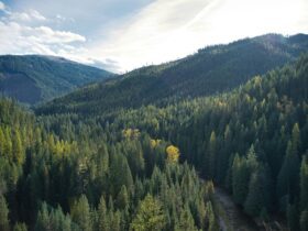 Casago Expands Idaho Presence with New Locally Led Franchise in McCall and Boise - Photo by Kevin Bidwell on Pexels