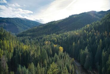 Casago Expands Idaho Presence with New Locally Led Franchise in McCall and Boise - Photo by Kevin Bidwell on Pexels