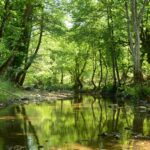 Water pollution probes net £2.1m to improve River Trent catchment - Photo by Hakan Tahmaz on Pexels