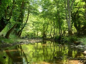 Water pollution probes net £2.1m to improve River Trent catchment - Photo by Hakan Tahmaz on Pexels