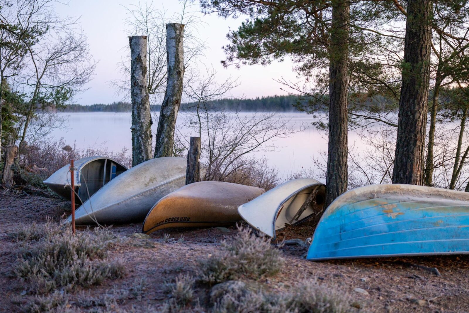 The Global Resilience Network Secures First Executive AI Immersion at Alibaba Headquarters, China - Photo by Lorenzo Manera on Pexels