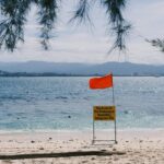 What Countries Are Telling Travelers About Visiting the U.S. Right Now - Photo by Tito Zzzz on Pexels