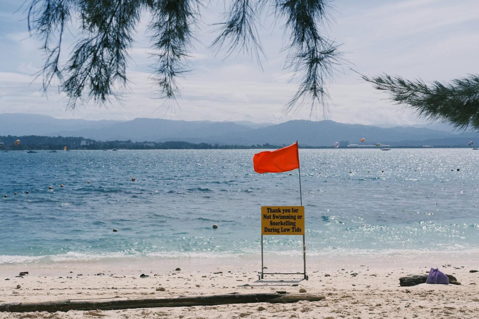 What Countries Are Telling Travelers About Visiting the U.S. Right Now - Photo by Tito Zzzz on Pexels