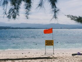 What Countries Are Telling Travelers About Visiting the U.S. Right Now - Photo by Tito Zzzz on Pexels