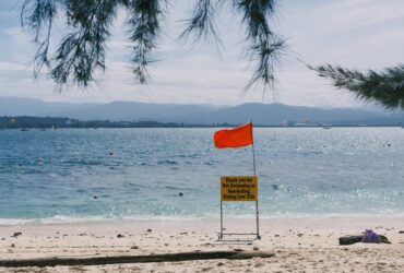 What Countries Are Telling Travelers About Visiting the U.S. Right Now - Photo by Tito Zzzz on Pexels