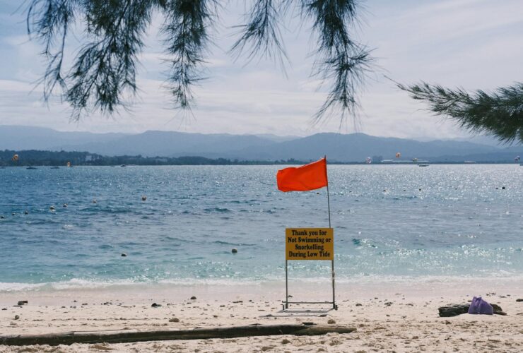 What Countries Are Telling Travelers About Visiting the U.S. Right Now - Photo by Tito Zzzz on Pexels