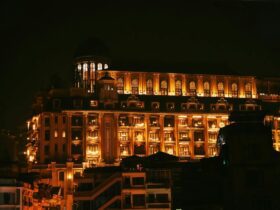 H World International Posts First Profit Since 2019 Acquisition - Photo by Haneul Trac on Pexels