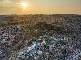 Major clean-up begins at notorious Kidlington waste site - Photo by Tom Fisk on Pexels