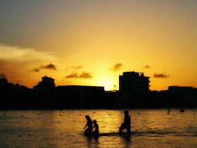 Wyndham Crosses 100-Hotel Mark in Mexico - Photo by Ricardo Olvera on Pexels