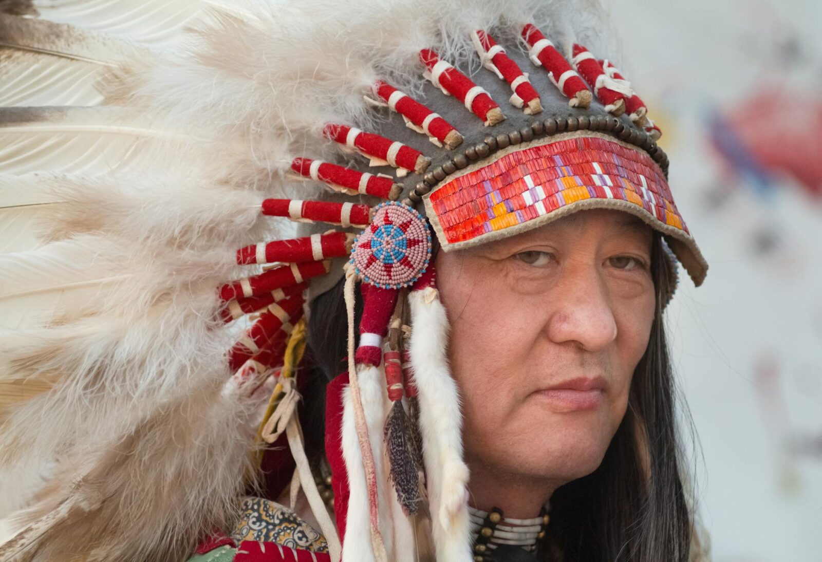 In Blackfoot Country, Indigenous Nations Offer a Different View of the US-Canada Border - Photo by Elena Olesik on Pexels