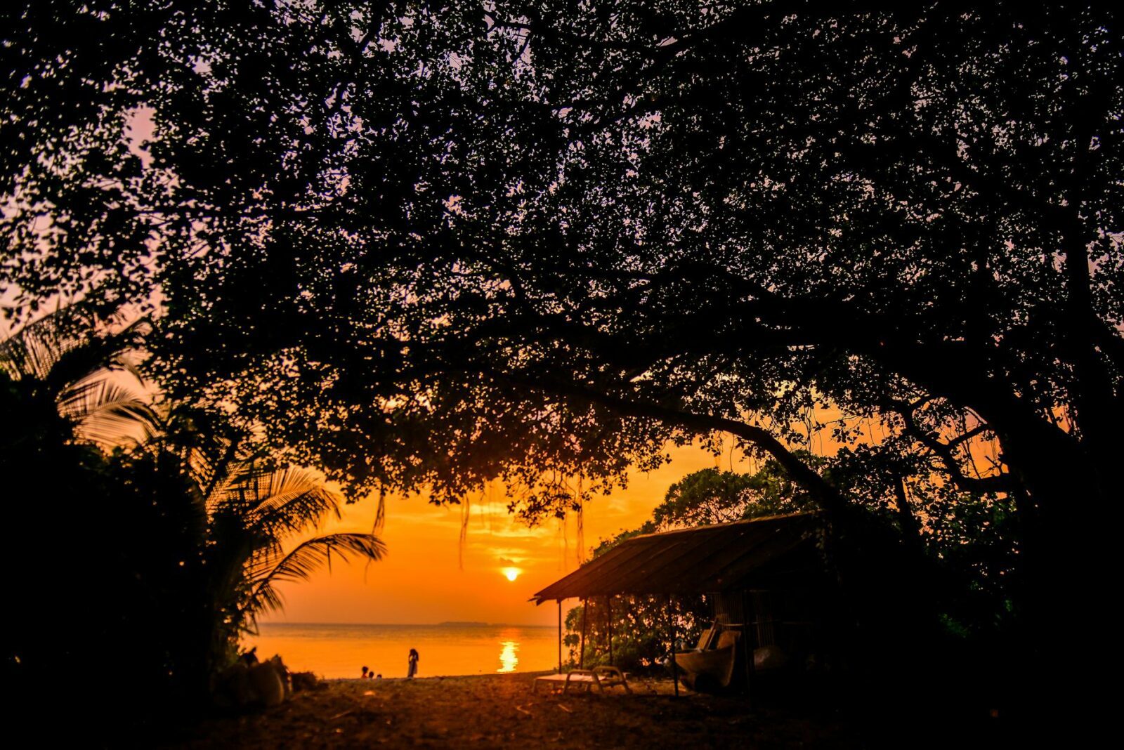 This new luxury points hotel in Greece has two private beaches and its own Greek patisserie - Photo by Asad Photo Maldives on Pexels