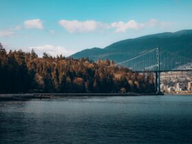 Why Georgia Is Europes Best Kept Secret for Food Lovers - Photo by Raghav Khera on Pexels