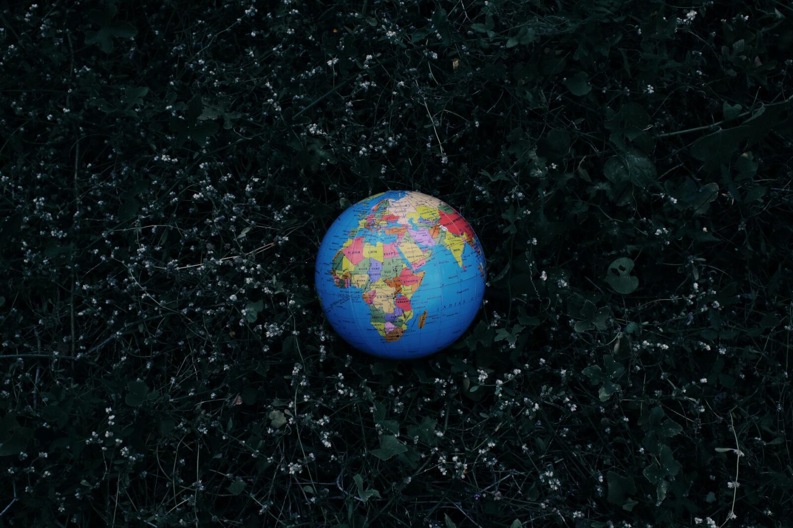 yahoo down - Photo by Nothing Ahead on Pexels