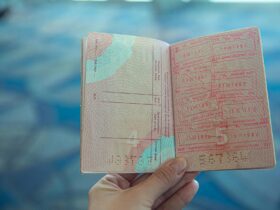 Passport Power Ranking Which Passports Open the Most Doors — Updated Guide - Photo by Ekaterina Belinskaya on Pexels