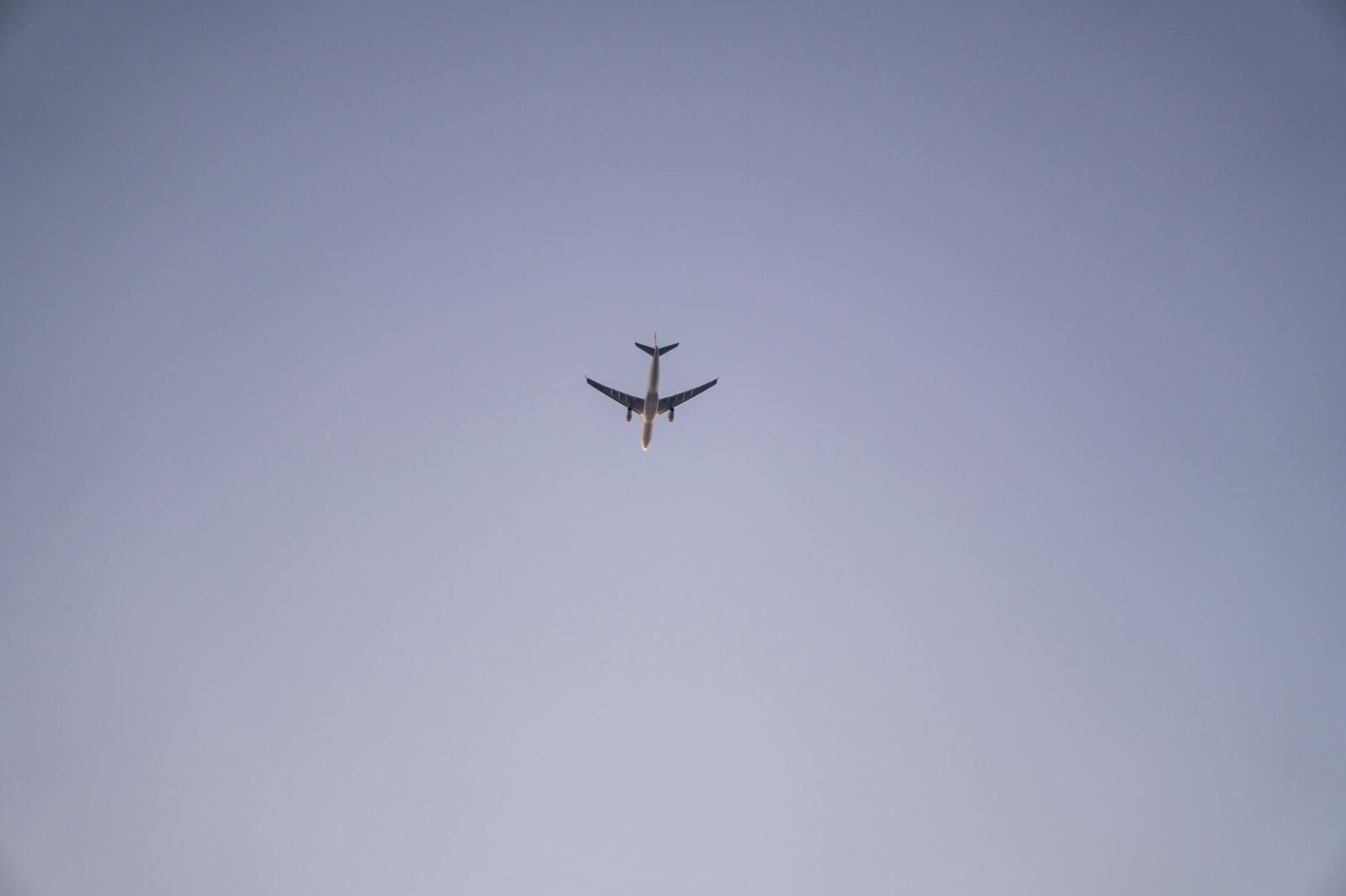 American Taps Starlink for Wi-Fi on More Than 500 Aircraft - Photo by Felipe Valtl de Mello on Pexels