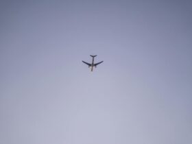 American Taps Starlink for Wi-Fi on More Than 500 Aircraft - Photo by Felipe Valtl de Mello on Pexels