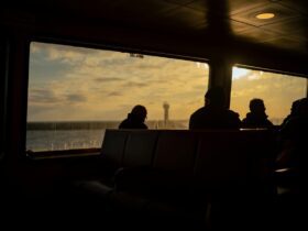 Chasing Whales and Sunsets Aboard Celebrity Solstice in Alaska - Photo by Zeynep Sude Emek on Pexels