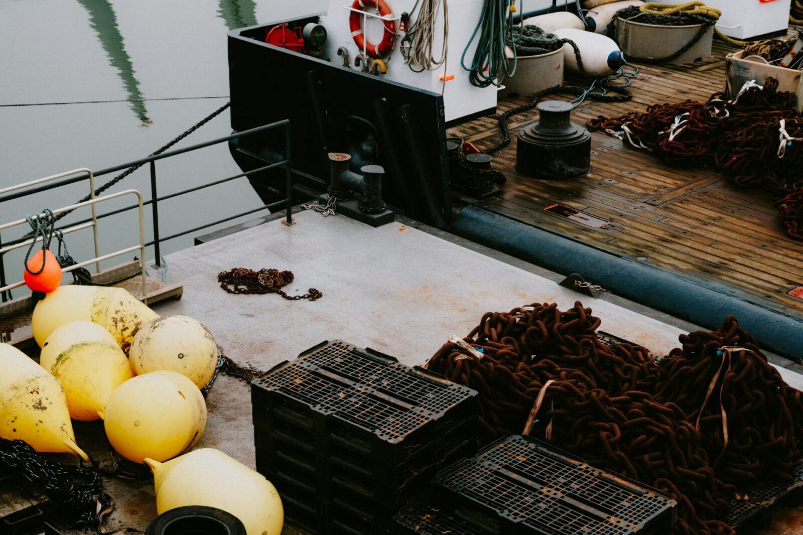 Crawfish consultation 2026 - Photo by Mathias Reding on Pexels