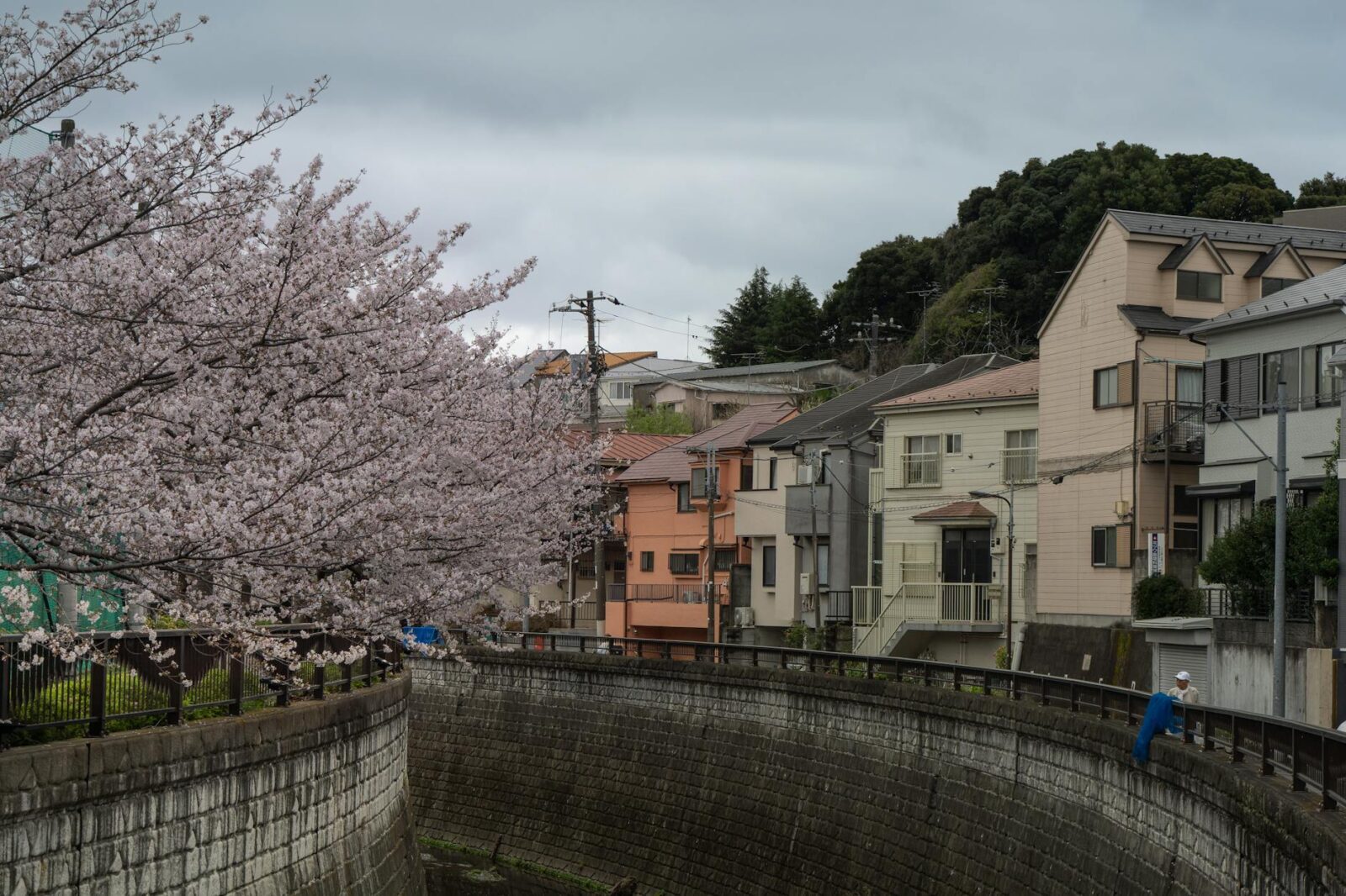 cheap flights to tokyo - Photo by Iban Lopez Luna on Pexels