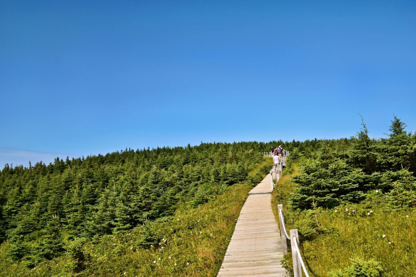 Minister Diab to highlight Spring Economic Update 2026 sport investments in Timberlea - Photo by Jeffrey Eisen on Pexels