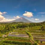 near best places to visit - Photo by Tom Fisk on Pexels