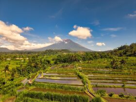 near best places to visit - Photo by Tom Fisk on Pexels