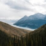 Canada launches measures to support those impacted by domestic natural disasters - Photo by Arjay Neyra on Pexels