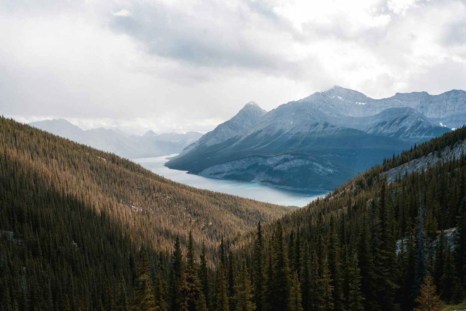 Canada launches measures to support those impacted by domestic natural disasters - Photo by Arjay Neyra on Pexels