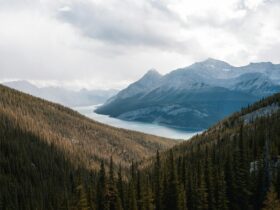 Canada launches measures to support those impacted by domestic natural disasters - Photo by Arjay Neyra on Pexels