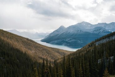 Canada launches measures to support those impacted by domestic natural disasters - Photo by Arjay Neyra on Pexels