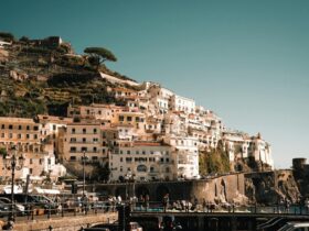 passport ranking 2026 - Photo by Alina Chernii on Pexels