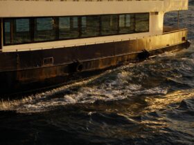 cruise travel insurance - Photo by photodailly on Pexels