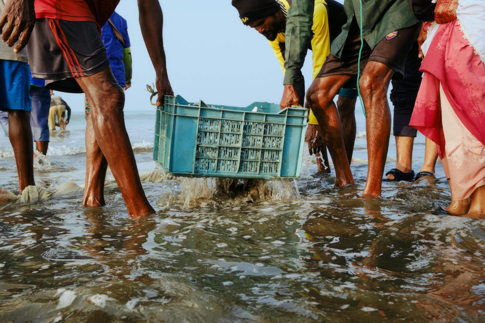 Crawfish consultation 2026 - Photo by Kabiur Rahman  Riyad on Pexels
