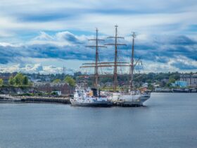 How to Experience the Vintage Sailing Parade That Will Take Over NYC on July 4 - Photo by Mohan Nannapaneni on Pexels