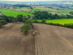 Dorset farmers to pay £33,500 over slurry handling - Photo by David Pickup | Advertising & Marketing 🇬🇧 on Pexels
