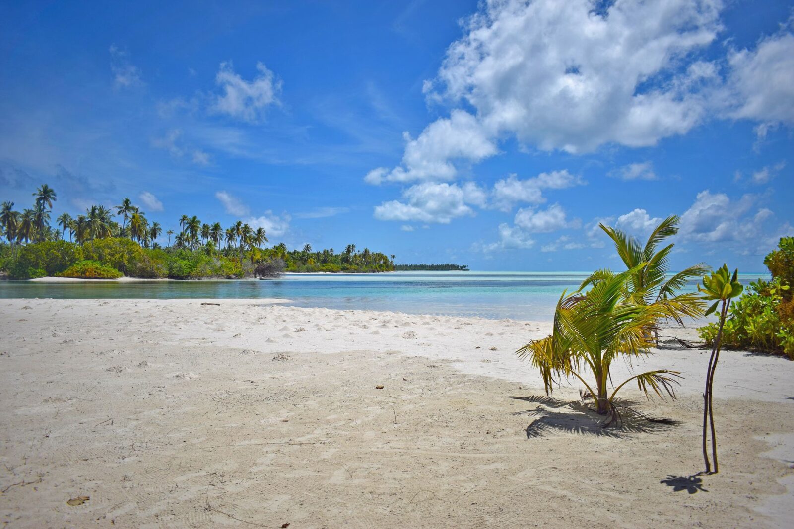 10 Islands That Are Sinking and Might Disappear in Your Lifetime - Photo by Hussain Naushad on Pexels