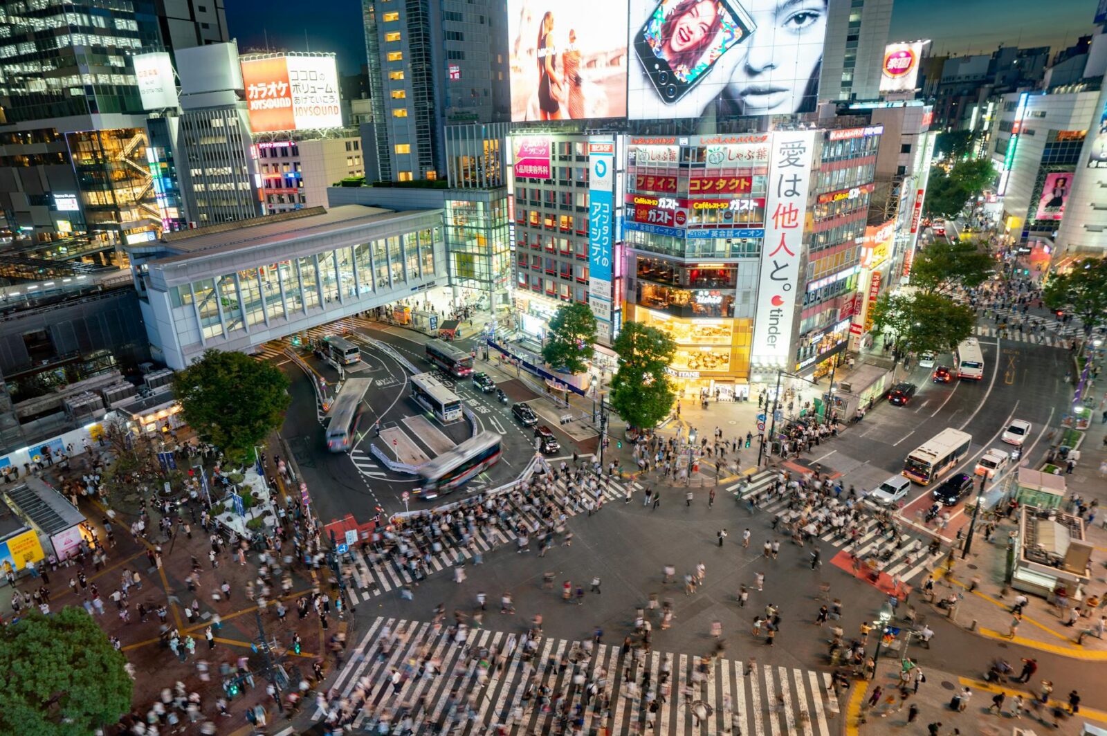 cheap flights to tokyo - Photo by Timo Volz on Pexels