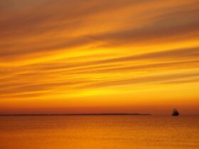 The Best Hamptons Hotels That New Yorkers Keep to Themselves - Photo by Ty DG on Pexels