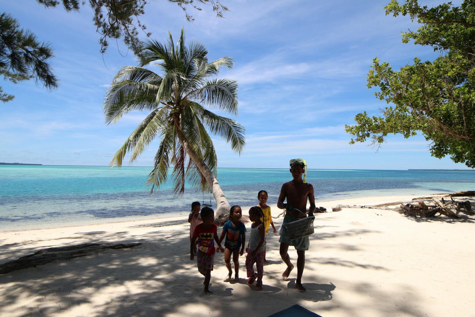 Visa Free Countries for Indian Passport Holders 2026 - Photo by Vishe Artiztry on Pexels