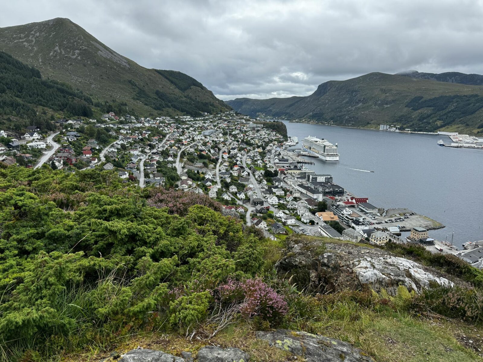 How a Cruise Line Cut Emissions by 90% on a 12-Day Voyage - Photo by Bernhard Egger on Pexels