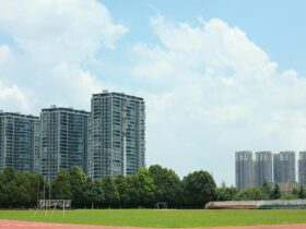Minister Diab to highlight Spring Economic Update 2026 sport investments in Timberlea - Photo by Andy Lee on Pexels