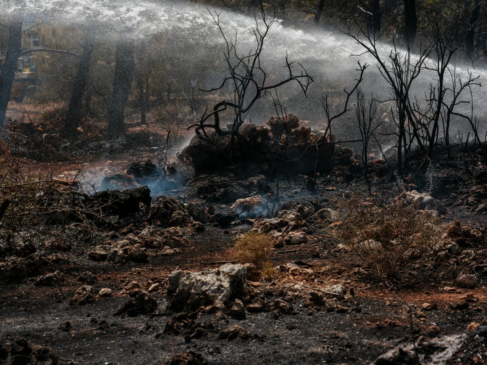 Canada launches measures to support those impacted by domestic natural disasters - Photo by Engin Akyurt on Pexels