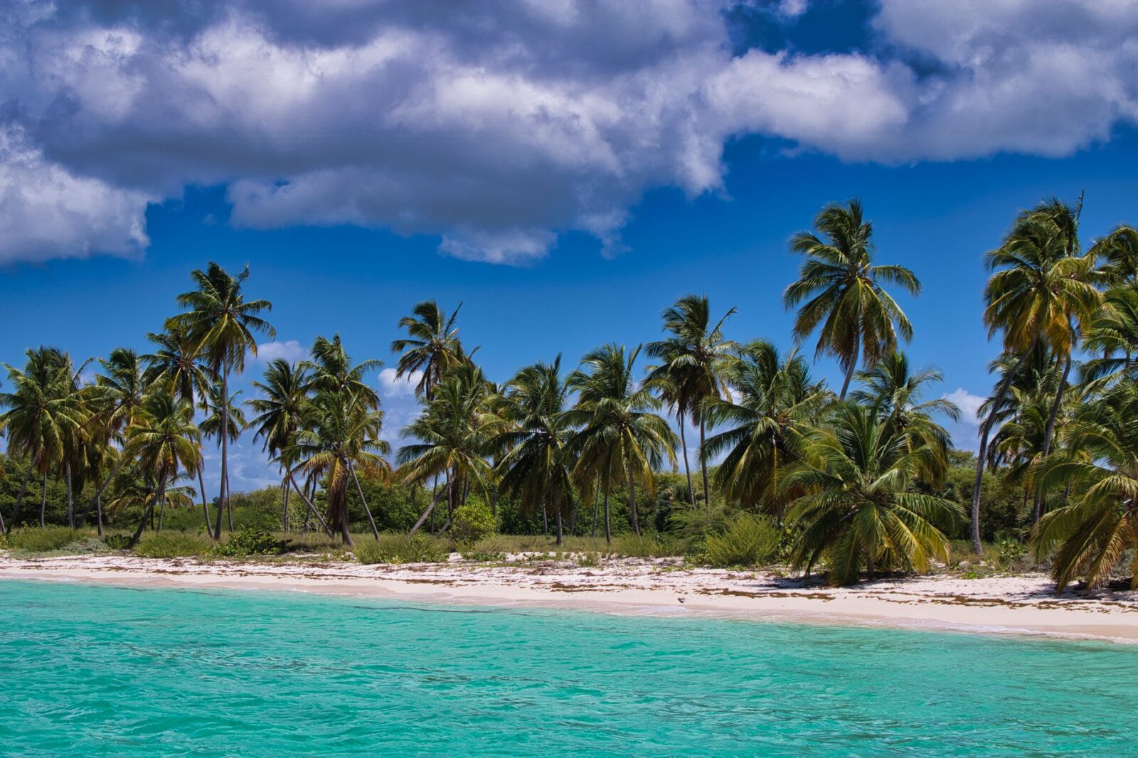 Countries That Offer Citizenship by Investment in 2026 - Photo by Mr Pixel on Pexels