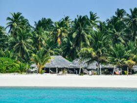 10 Unique Countries Without Land Borders You Should Know About - Photo by Sanjeev Kumar Maurya on Pexels