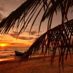 J.Lo's Latest Rom-Com 'Office Romance' Takes Us From NYC to the Dominican Republic - Photo by allPhoto Bangkok on Pexels