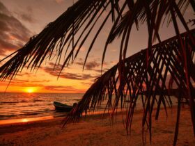 J.Lo's Latest Rom-Com 'Office Romance' Takes Us From NYC to the Dominican Republic - Photo by allPhoto Bangkok on Pexels
