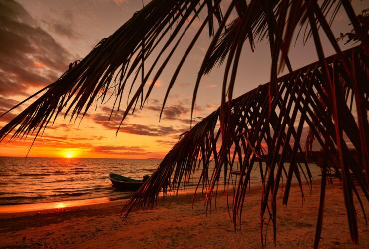 J.Lo's Latest Rom-Com 'Office Romance' Takes Us From NYC to the Dominican Republic - Photo by allPhoto Bangkok on Pexels