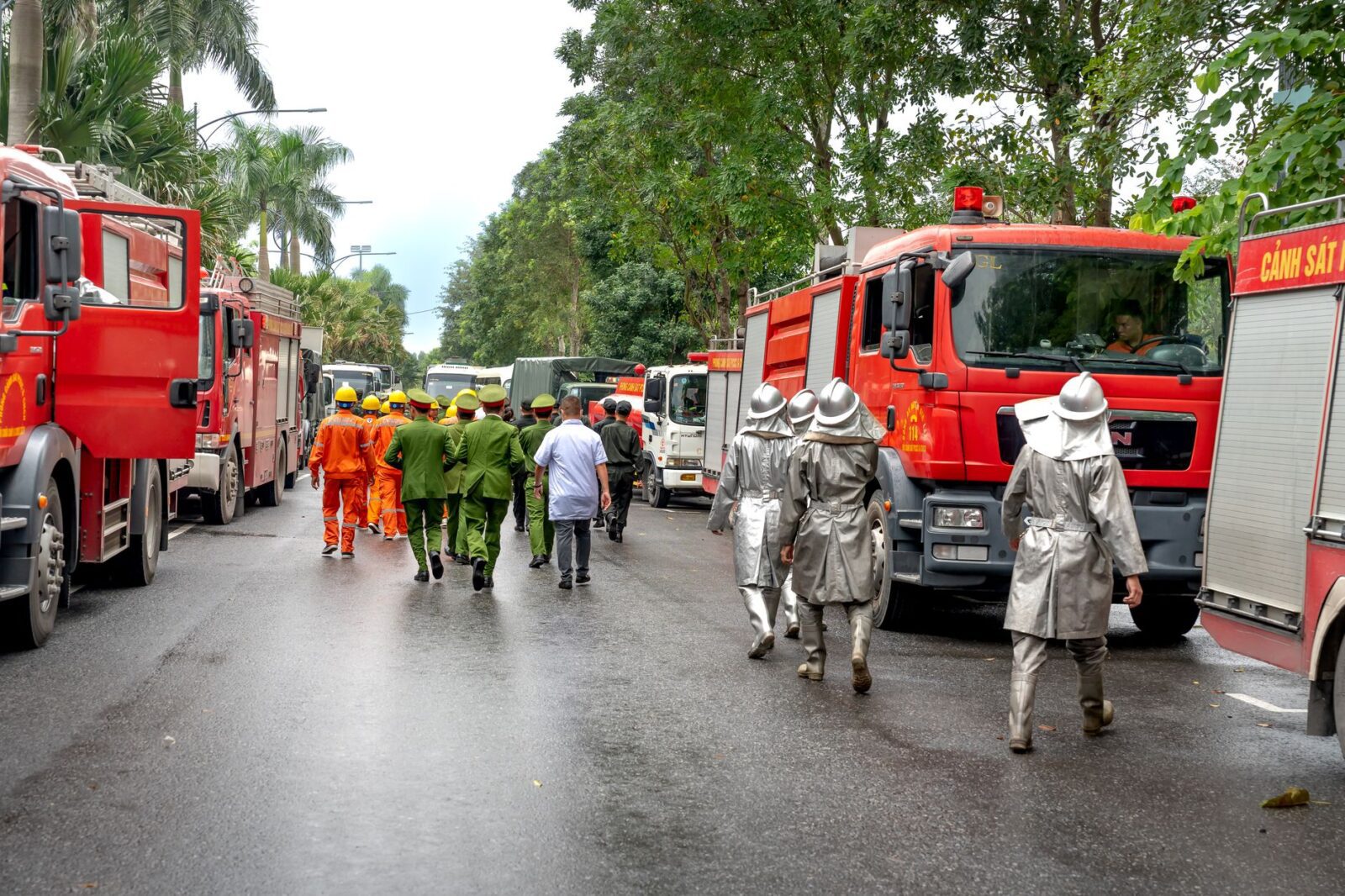 Government strengthens wildfire resilience heading into summer - Photo by Quang Nguyen Vinh on Pexels